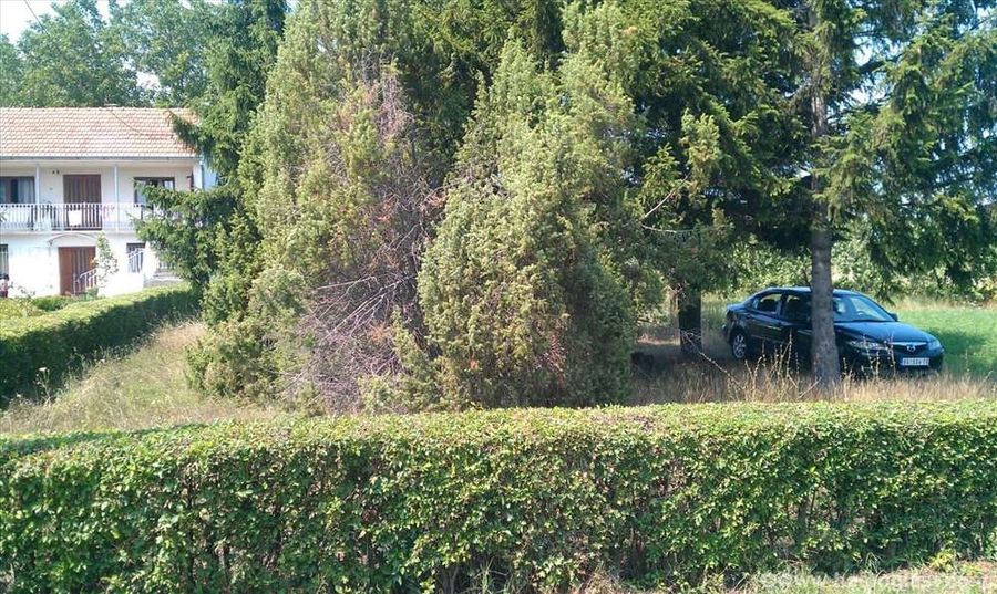 Farm Parcel For Sale 2000sqm 4 000 Kovacevac Indomio Rs