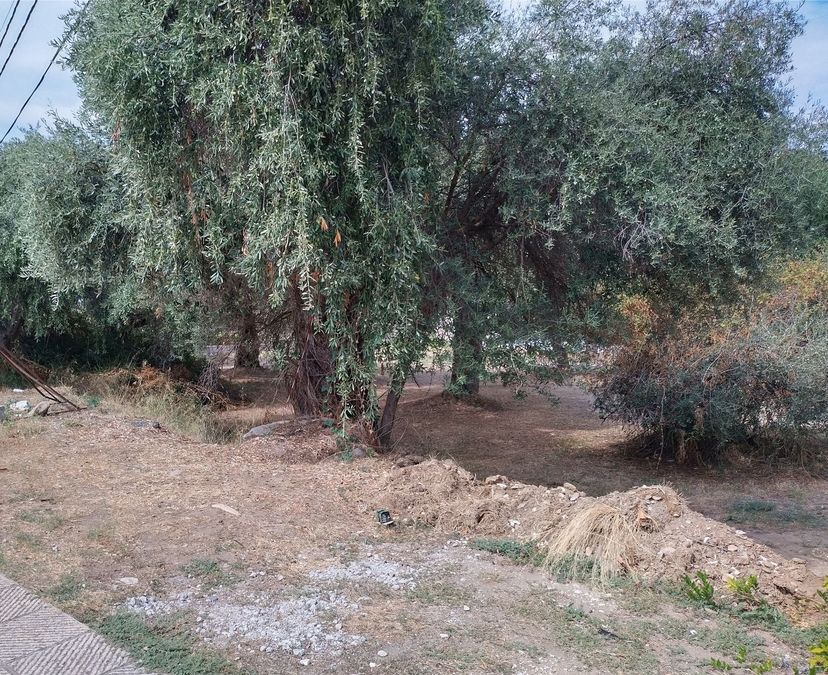Land Plot for sale Glyfada (Thasos)