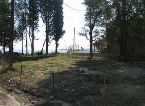 Οικόπεδο_Συμπολιτεία_2559643