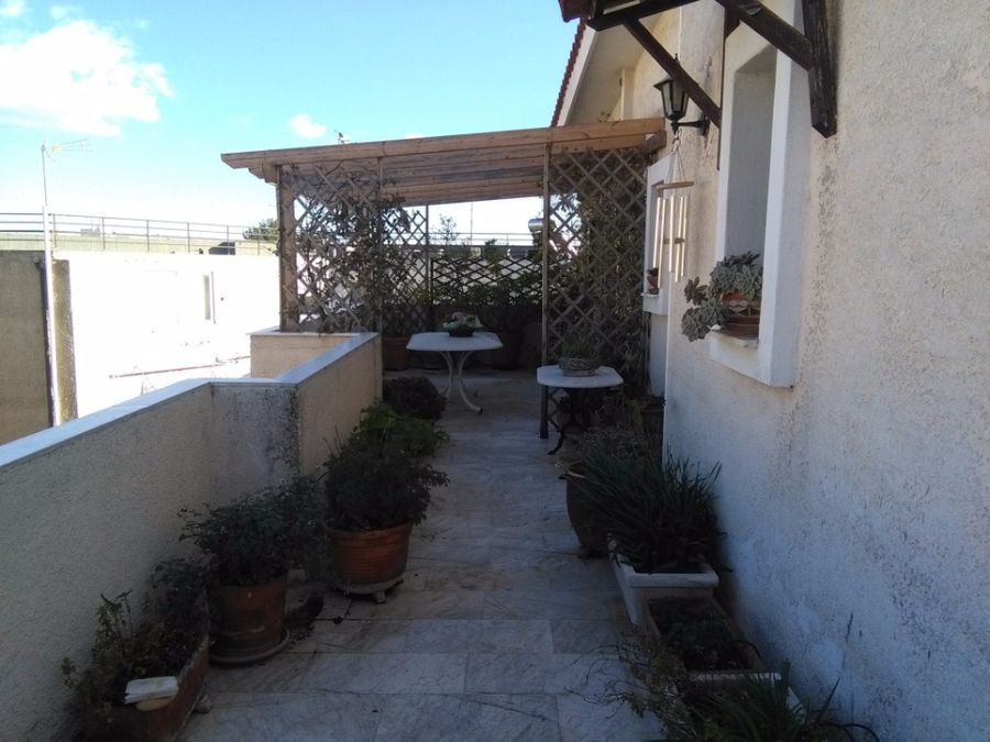 Photo 100014922