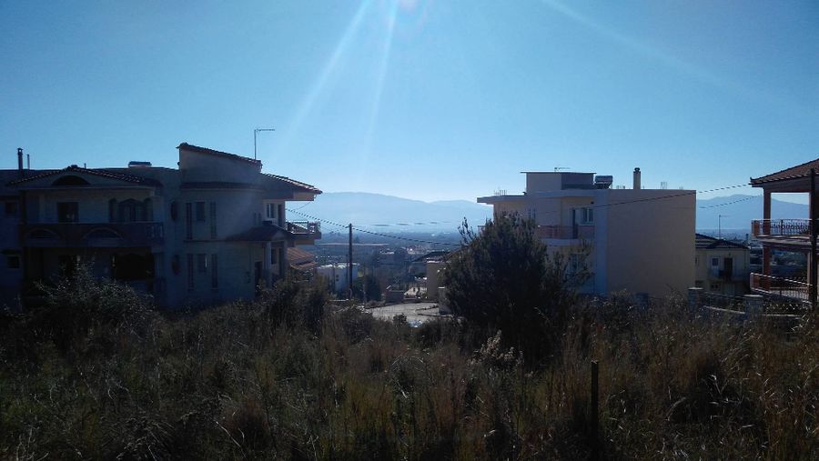 Photo 100163539