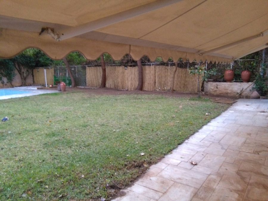 Photo 100659097