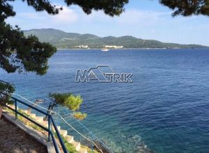 Διαμέρισμα, Νέος Μαρμαράς