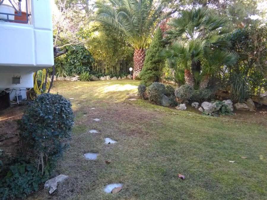Photo 101643166