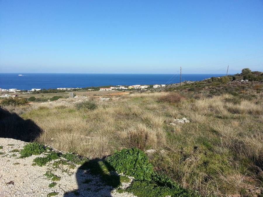 Photo 102358108
