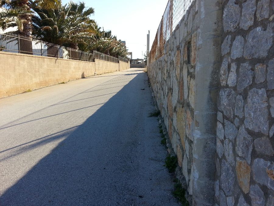 Photo 102358120