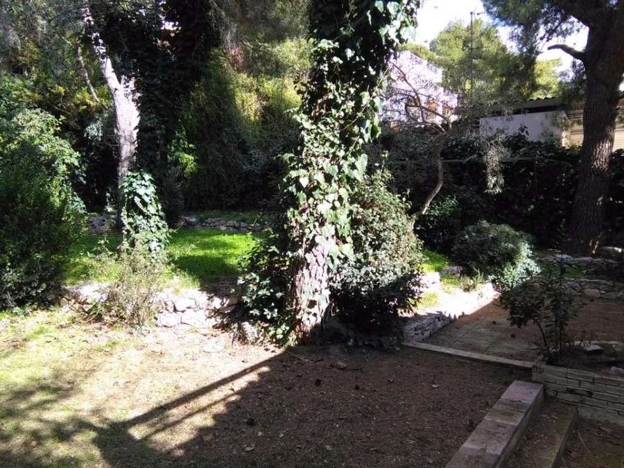 Photo 103283671