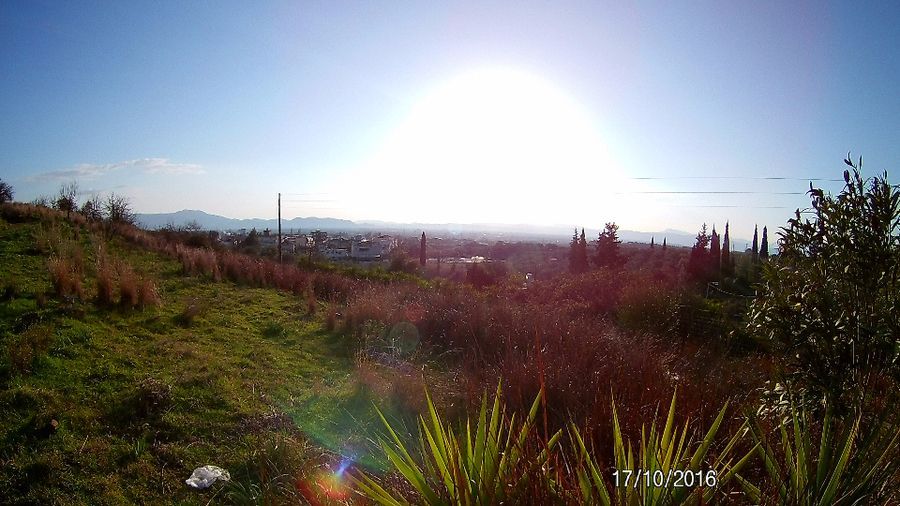 Photo 103800346