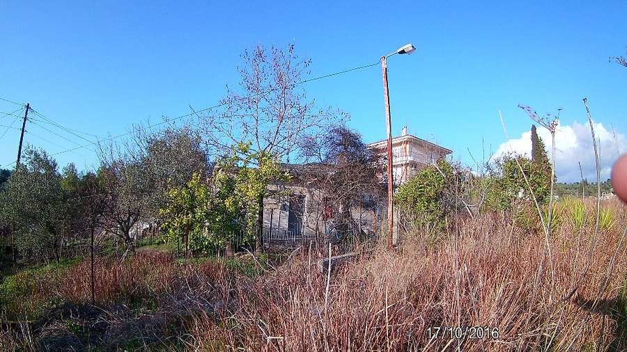 Photo 103800352