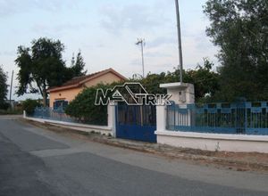 Μονοκατοικία προς πώληση Νέα Πλάγια (Τριγλία) 40 τ.μ. 2 Υπνοδωμάτια