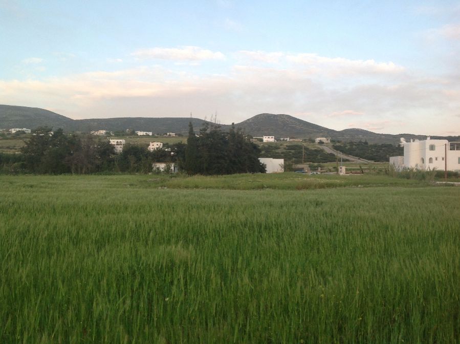 Plot Paros