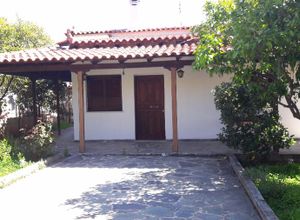 Μονοκατοικία προς πώληση Άγιος Δημήτριος (Κόρινθος) 100 τ.μ. 3 Υπνοδωμάτια