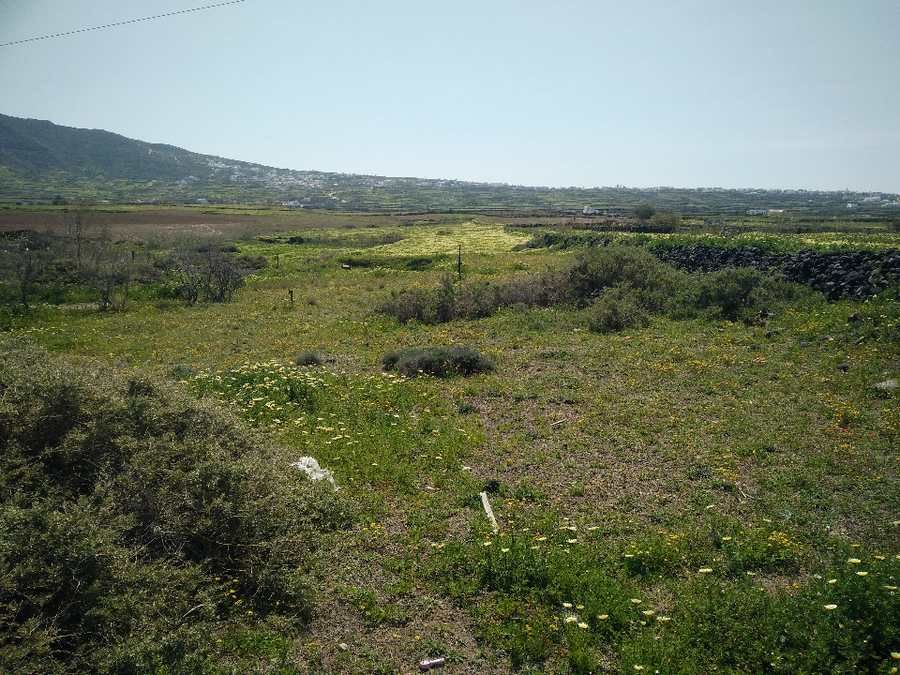 Photo 106241008