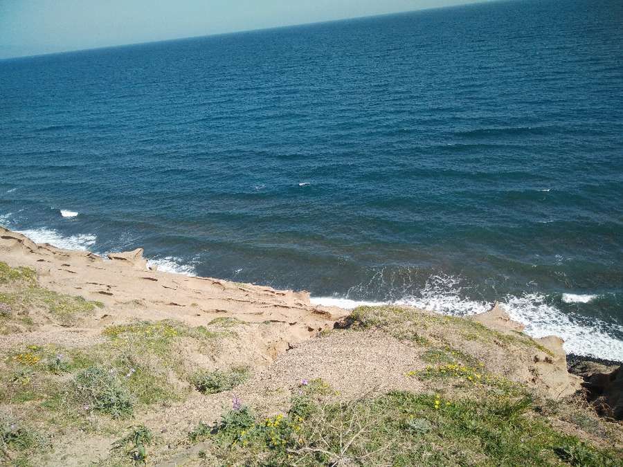 Photo 106391422