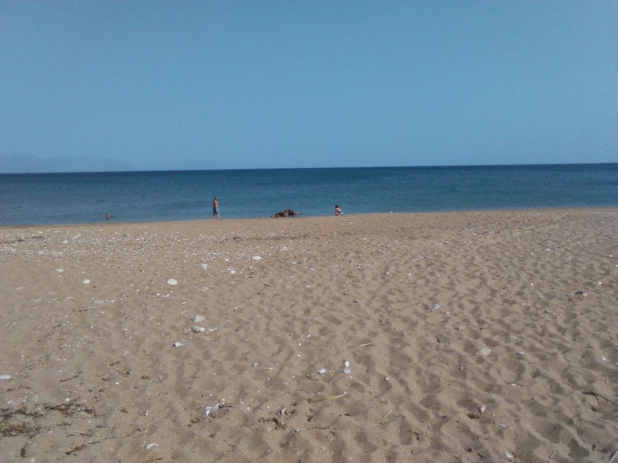 Photo 106566985