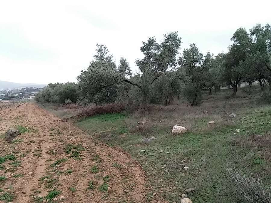 Photo 106600501