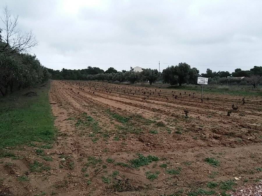 Photo 106600642