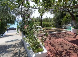Συγκρότημα προς πώληση Θυμωνιά (Θάσος) 70 τ.μ. 1 Υπνοδωμάτιο
