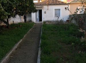 Μονοκατοικία προς πώληση Κέντρο (Μεσσήνη) 47 τ.μ. 1 Υπνοδωμάτιο