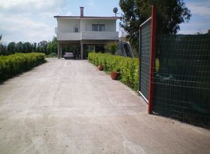 Μονοκατοικία προς πώληση Ωρεοί 100 τ.μ. 2 Υπνοδωμάτια