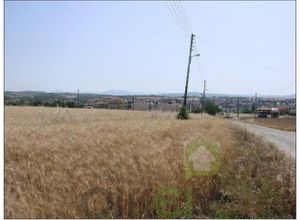 Αγροτεμάχιο προς πώληση Επανομή 5.000 τ.μ.