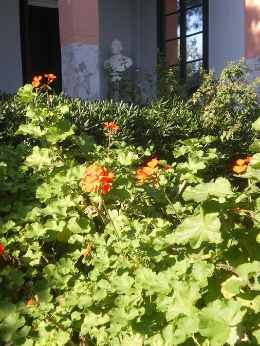 Photo 109800220