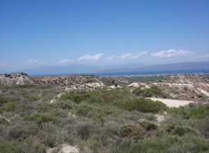 Αγροτεμάχιο προς πώληση Βόχα Κυράς Βρύση 724.000 τ.μ.