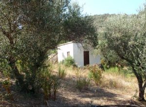Μονοκατοικία προς πώληση Γεράνι (Πλατανιάς) 48 τ.μ. 1 Υπνοδωμάτιο