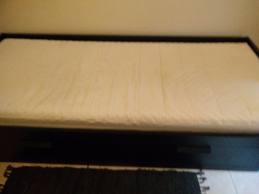 Photo 110654452