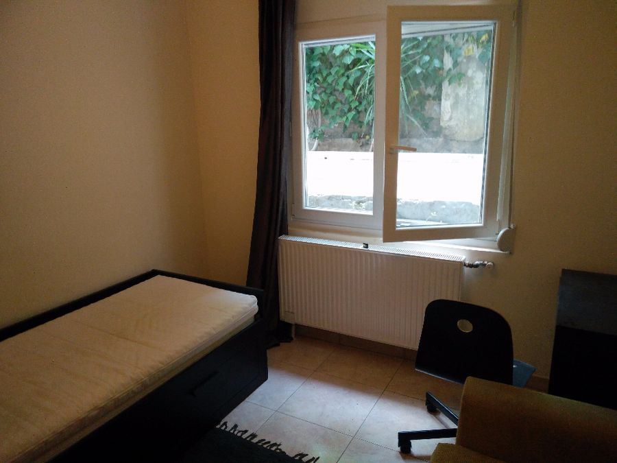 Photo 110654455
