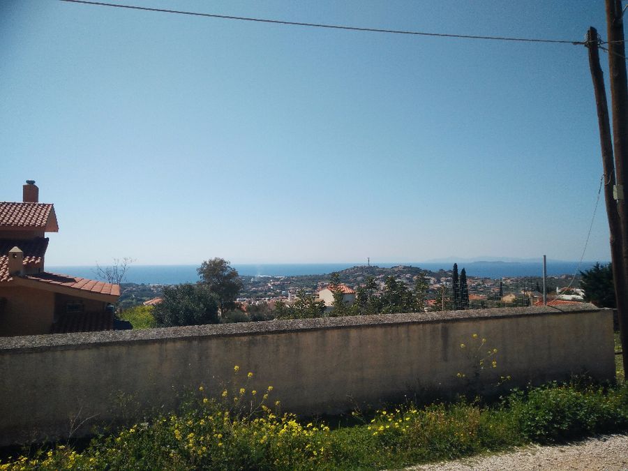 Photo 110718148