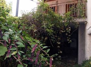 Μονοκατοικία προς πώληση Κορώνη 100 τ.μ. 3 Υπνοδωμάτια