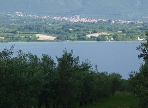 Αγροτεμάχιο προς πώληση Σέρβια 4.900 τ.μ.