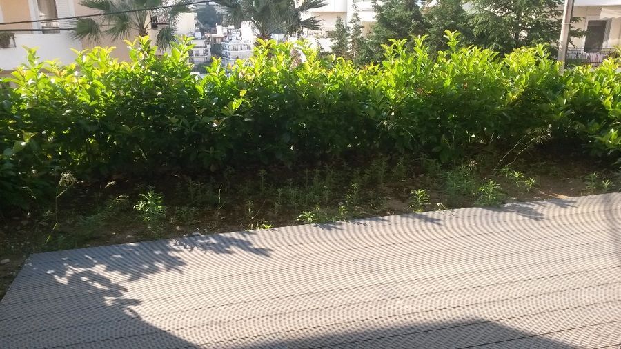 Photo 112239805