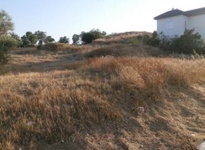 Οικόπεδο, Τσέρι