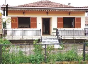 Μονοκατοικία προς πώληση Ασκός (Σοχός) 65 τ.μ. 1 Υπνοδωμάτιο