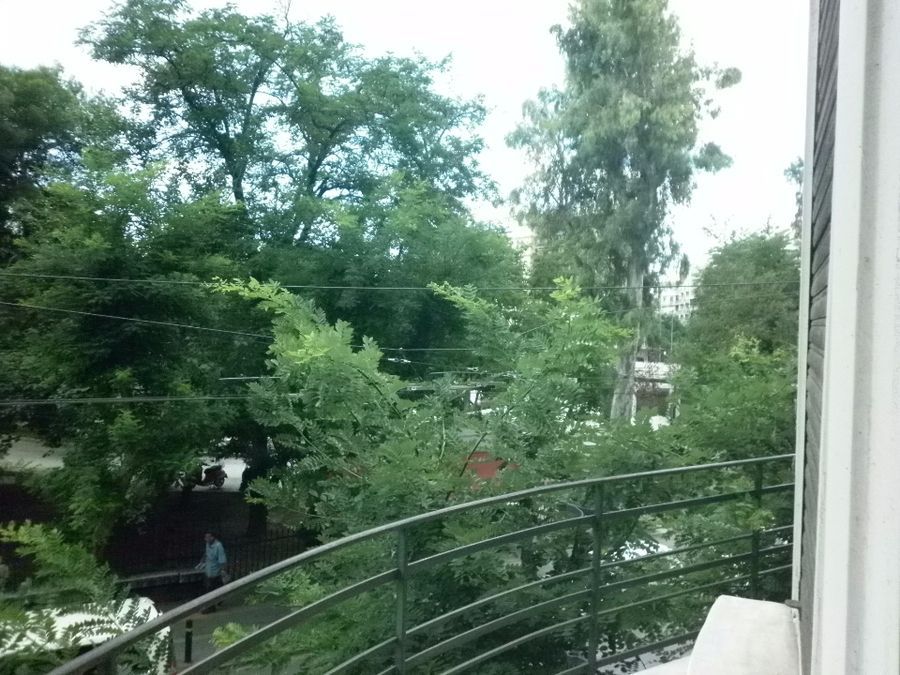Photo 113466667