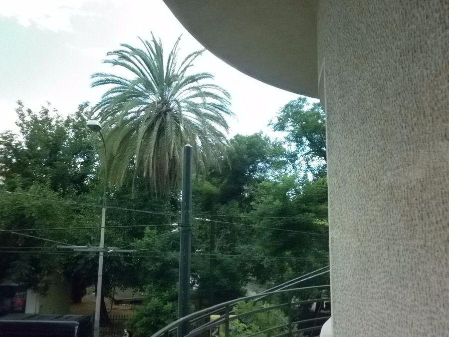 Photo 113466676
