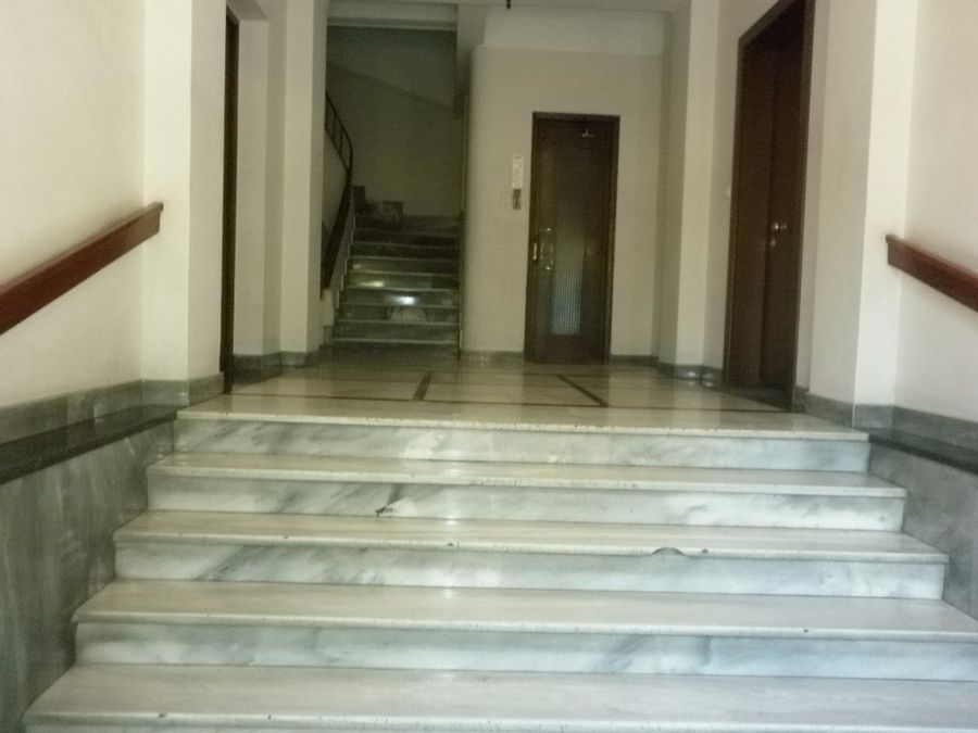 Photo 113466694