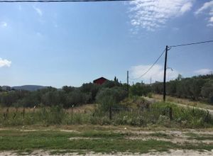 Land Plot, Souroti