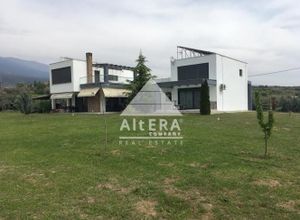 Μονοκατοικία προς πώληση Νέο Σούλι (Εμμανουήλ Παππάς) 230 τ.μ. 2 Υπνοδωμάτια