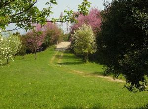 Detached House, Litochoro