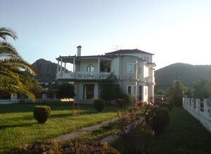 Μονοκατοικία προς πώληση Λευκάκια (Ναύπλιο) 400 τ.μ. 3 Υπνοδωμάτια