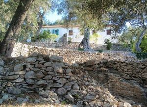 Μονοκατοικία προς πώληση Λάκκα (Παξοί) 5.890 τ.μ. 4 Υπνοδωμάτια
