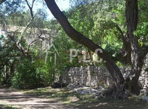 Βίλλα προς πώληση Μαγαζιά (Παξοί) 10.473 τ.μ. 2 Υπνοδωμάτια