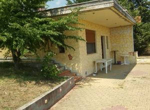 Μονοκατοικία προς πώληση Ελευθεροχώρι (Γιαννιτσά) 65 τ.μ. 2 Υπνοδωμάτια