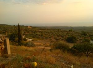Μονοκατοικία προς πώληση Κέντρο (Γαργαλιάνοι) 75 τ.μ. 2 Υπνοδωμάτια