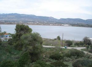 Οικόπεδο προς πώληση Πάχη (Μέγαρα) 1.108 τ.μ.