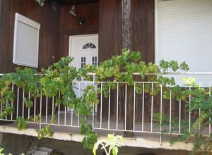 Detached House, Center
