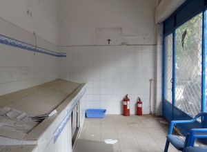 Store, Martiou